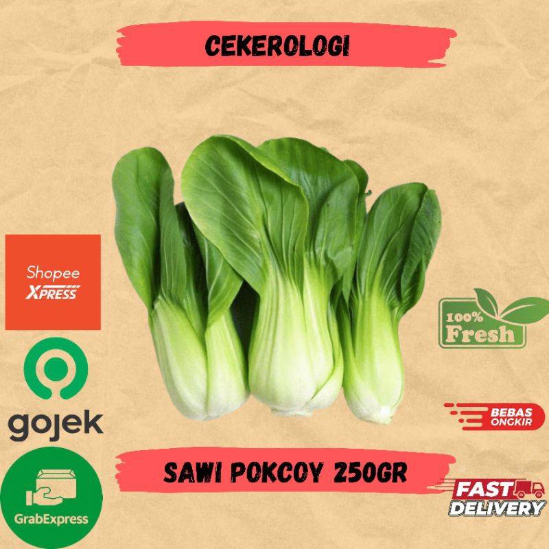 

Sawi Pokcoy 250gr / Sawi Pokcoy / Sawi Pokcoy Fresh Berkualitas / JABODETABEK / Sawi Pokcoy / Sawi / Sayur Segar / Sayuran / Sayur