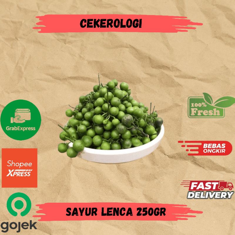 

Sayur Lenca 250gr / Sayur Lenca / Sayur Lenca Fresh Berkualitas / JABODETABEK / Sayur Segar / Sayuran / Sayur