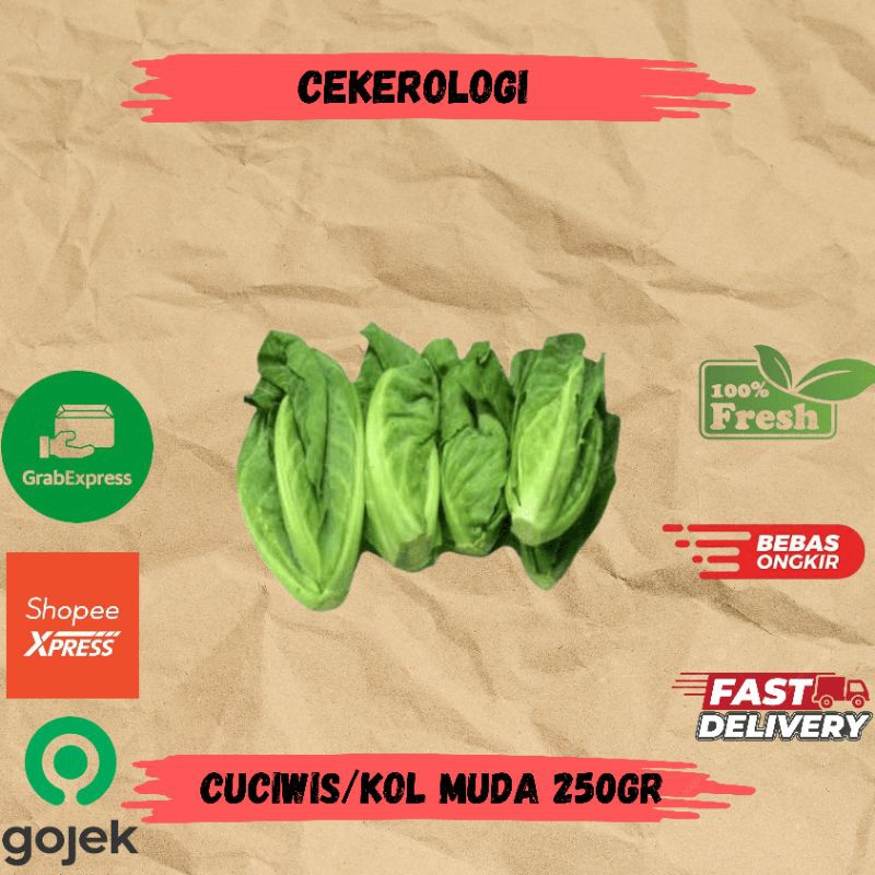 

Cuciwis Kol Muda 250gr / Kol Muda / Cuciwis / Cuciwis Fresh Berkualitas / JABODETABEK / Kol Muda / Sayur Segar / Sayuran / Sayur