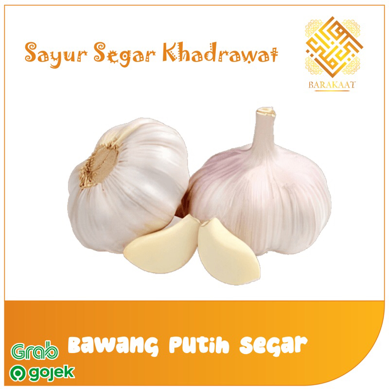 

Bawang Putih Segar