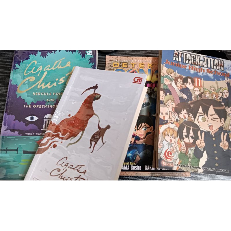 [PRELOVED] Buku Novel Agatha Christie