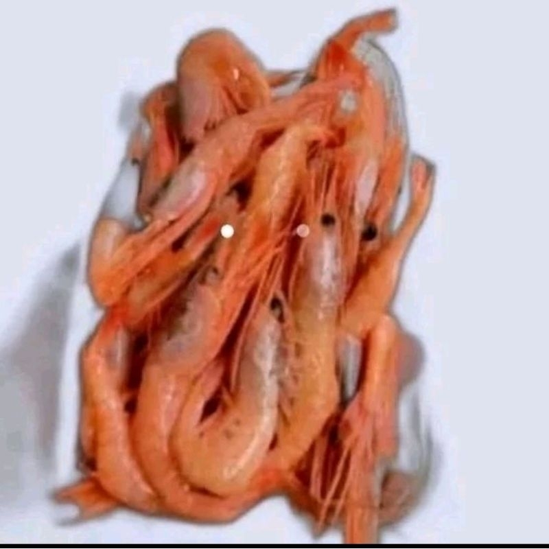 

Udang Kecil Crispy / UdangJepang/Udang Merah 1Kg