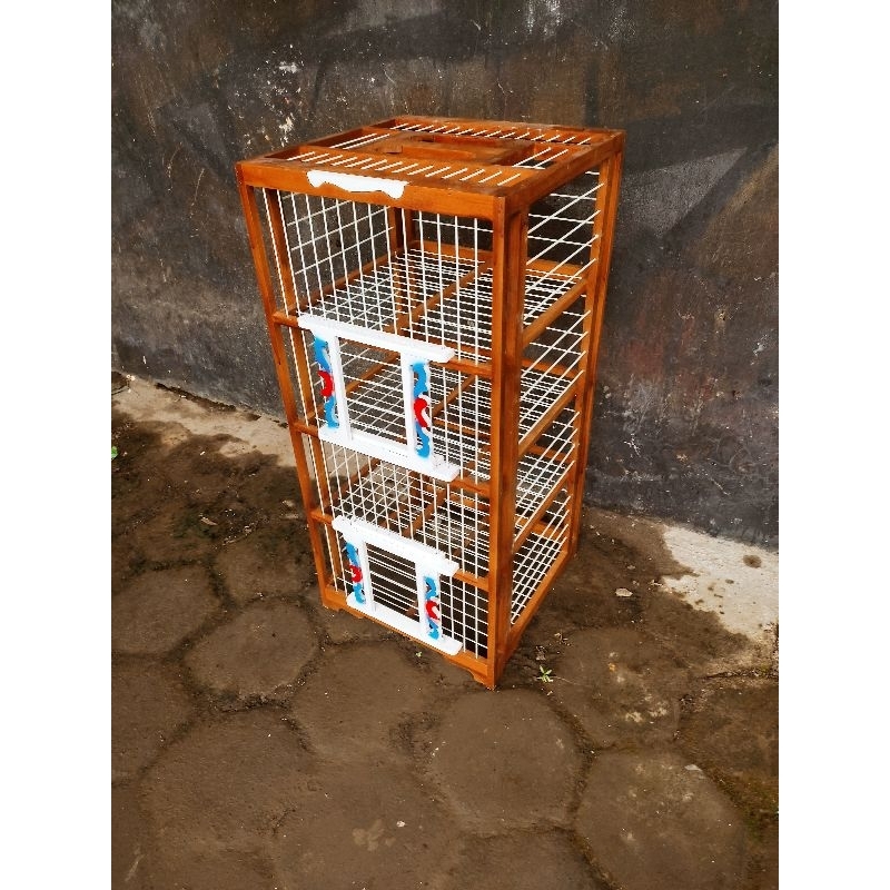 Dondang pelepas merpati