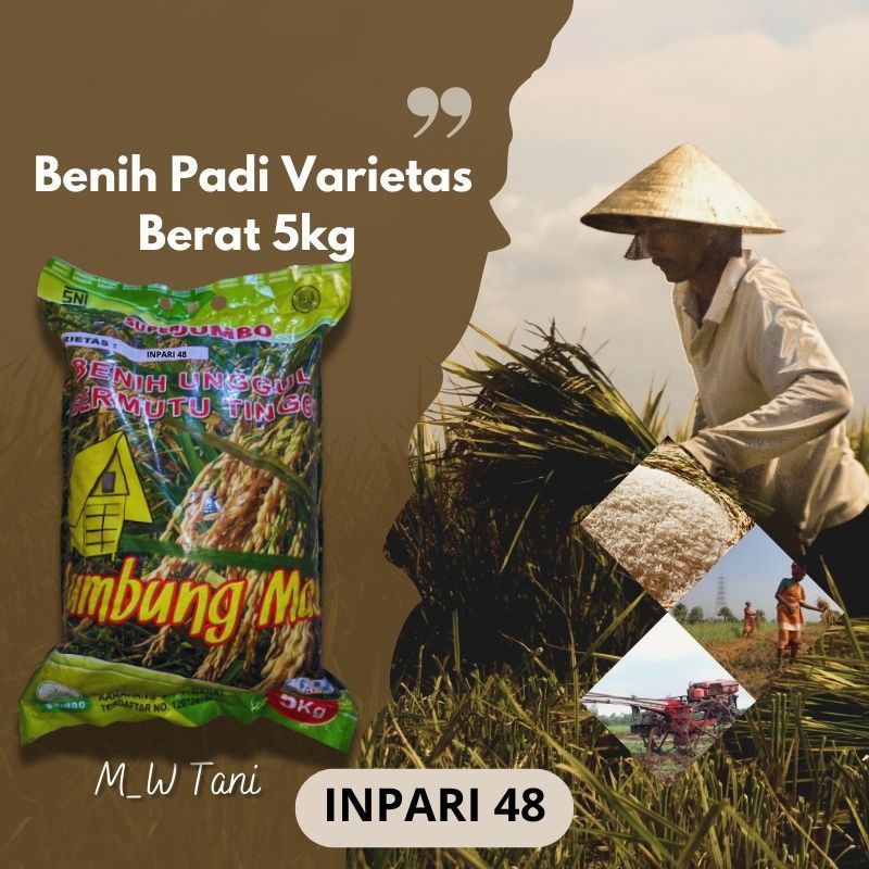 BIBIT BENIH PADI VARIETAS INPARI 48 ORIGINAL BD