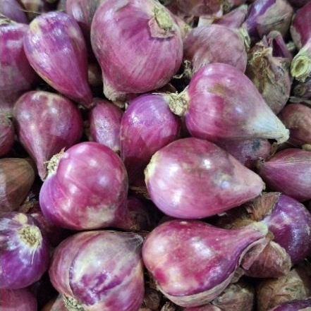 

Bawang Merah Brebes 250gr-500gr