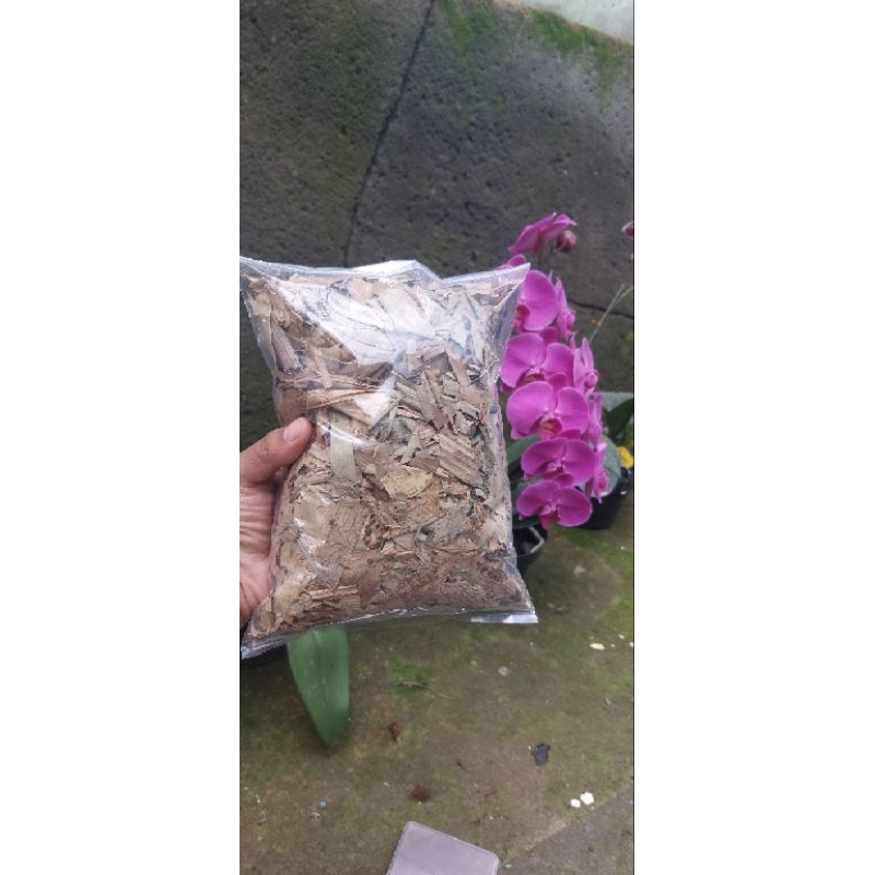 daun bambu kering