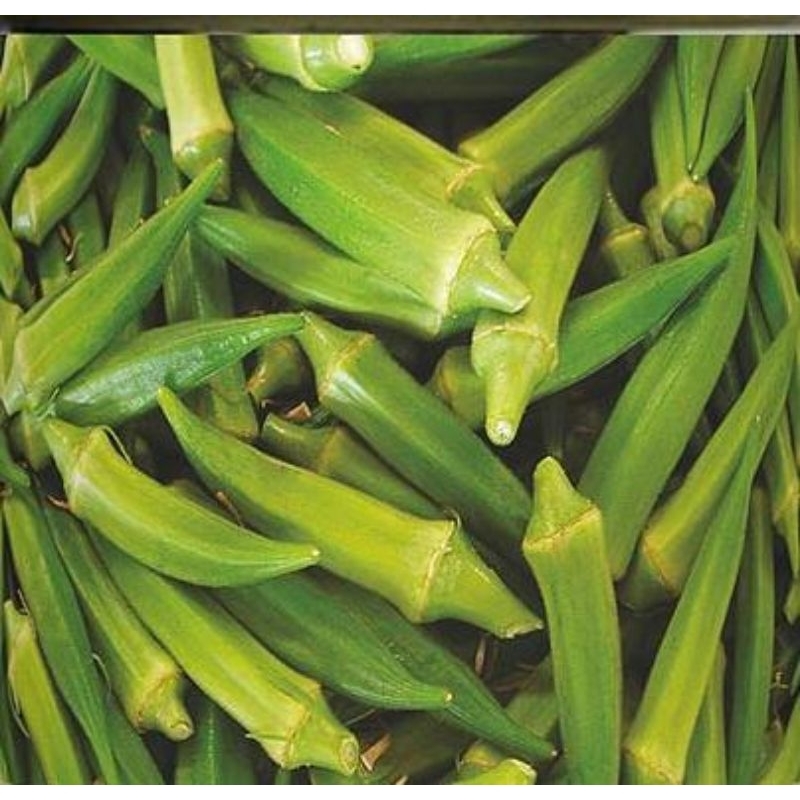 

baby okra hijau segar