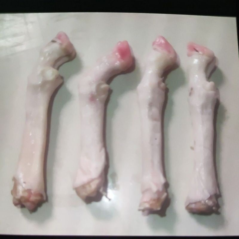 

Kaki Kambing/Domba Bersih Siap Masak PALING MURAH