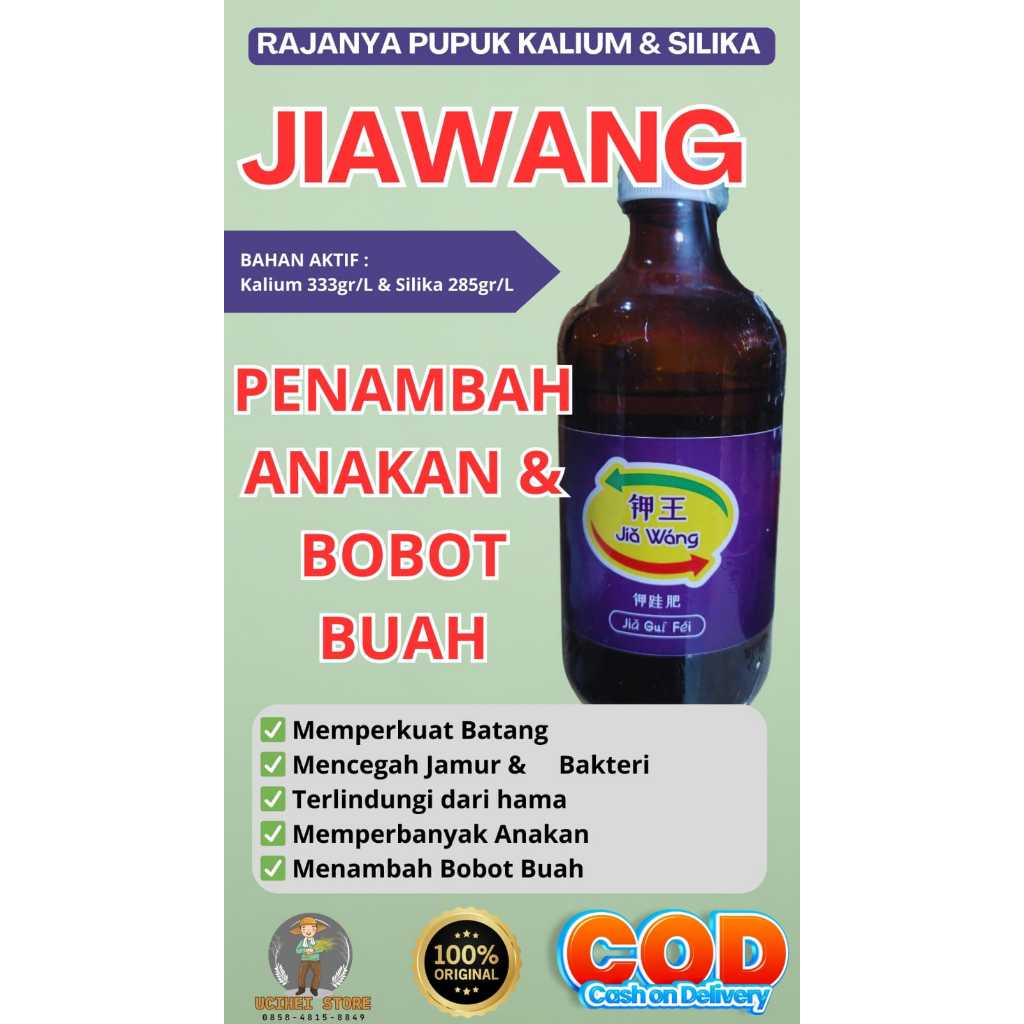 JIA WANG - RAJANYA PUPUK KALIUM & SILIKA PENAMBAH BOBOT BUAH,PENAMBAH ANAKAN BARU