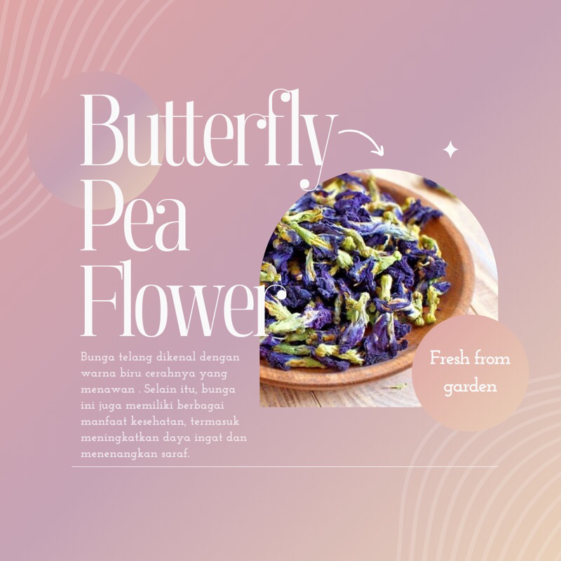 

Butterfly Pea Flower (Bunga Telang)