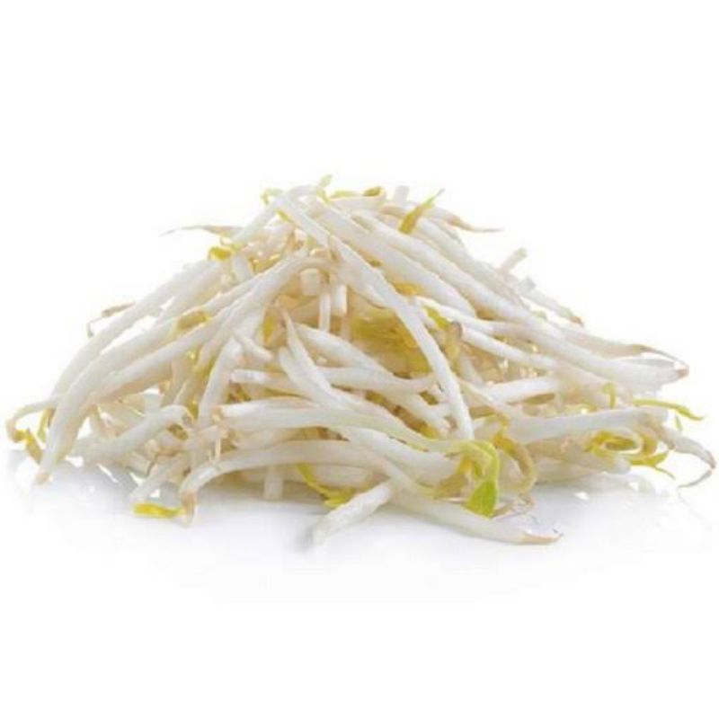 

Toge dan Kecambah kedele super