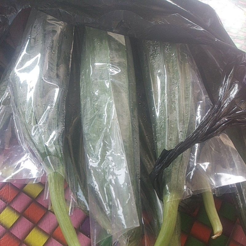 

oyong sayur oyong