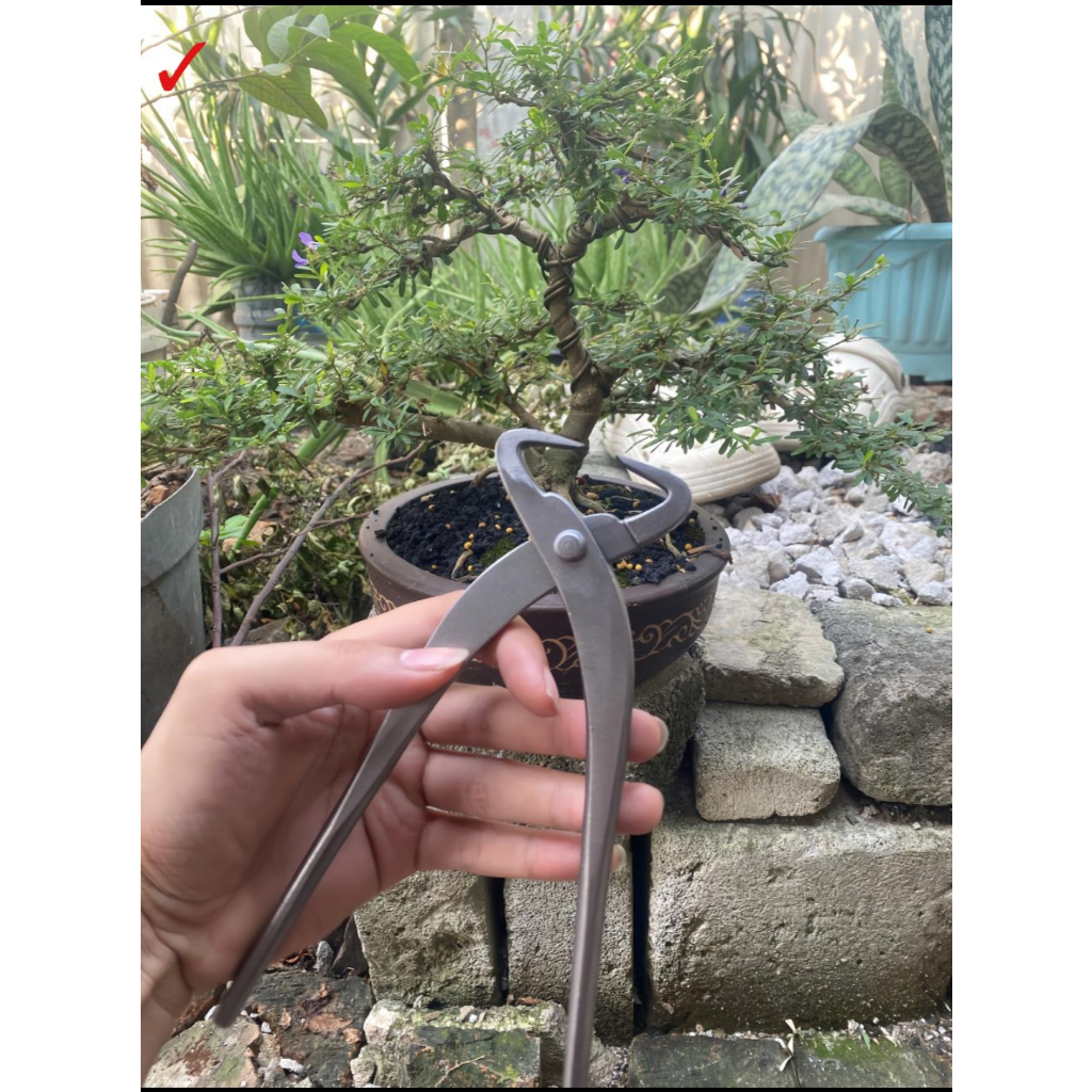 Catok Pemecah Batang Import Msw 21 Cm Alat Bonsai Catok Pecah Batang