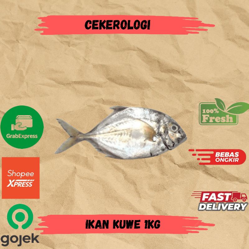 

Ikan Kuwe 1kg / Ikan Kue / Ikan Kuwe / Ikan Kuwe Fresh Berkualitas / JABODETABEK / Ikan Segar / Ikan