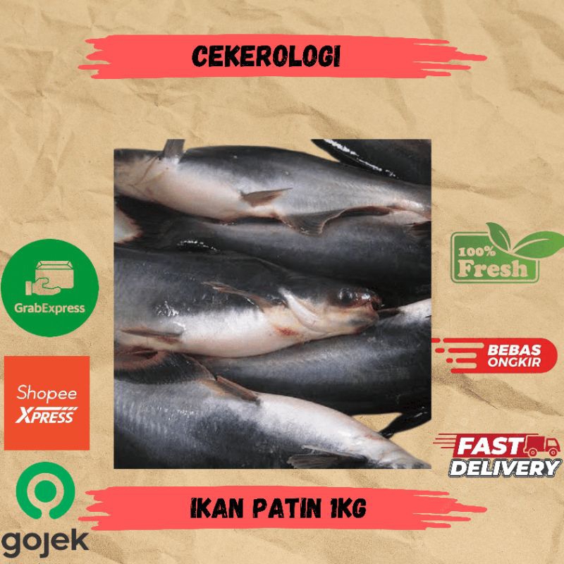 

Ikan Patin 1kg / Ikan Patin / Ikan Patin Fresh Berkualitas / JABODETABEK / Patin / Ikan Segar / Ikan