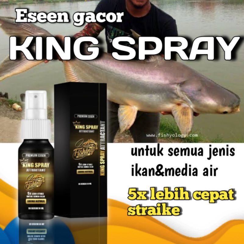 Essen Ikan Gacor King Spray Atractan esen nila lele mas tombro patin bawel kakap,esen untuk segala j