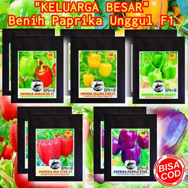 BENIH PAPRIKA UNGGUL F1 / KUMPULAN BENIH PAPRIKA