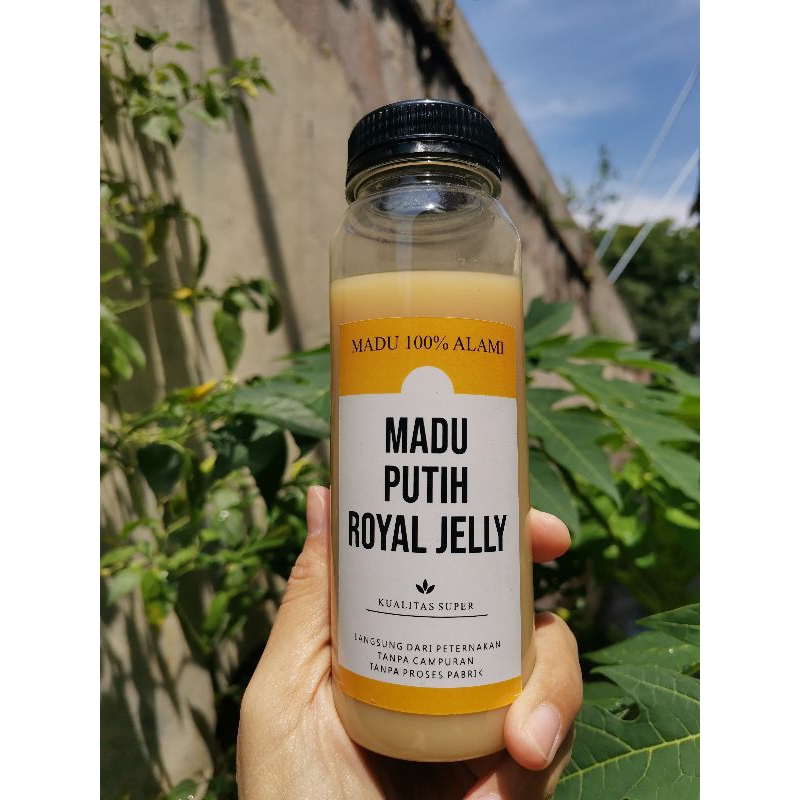 

Royal Jelly asli murni