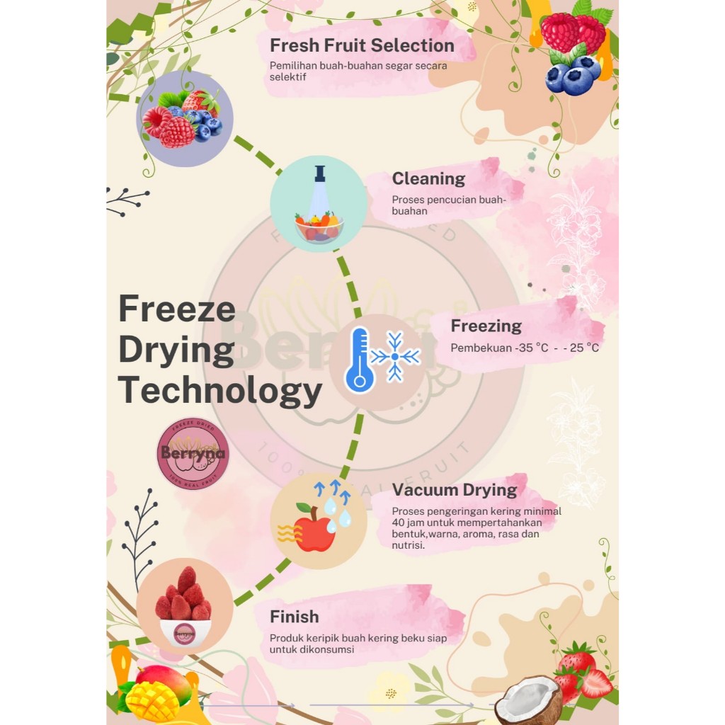 

Navi_Lezatoz Berryna 30G Strawberry Freeze Dried Snack Keripik Buah Strawberry Sehat Cemilan Garing