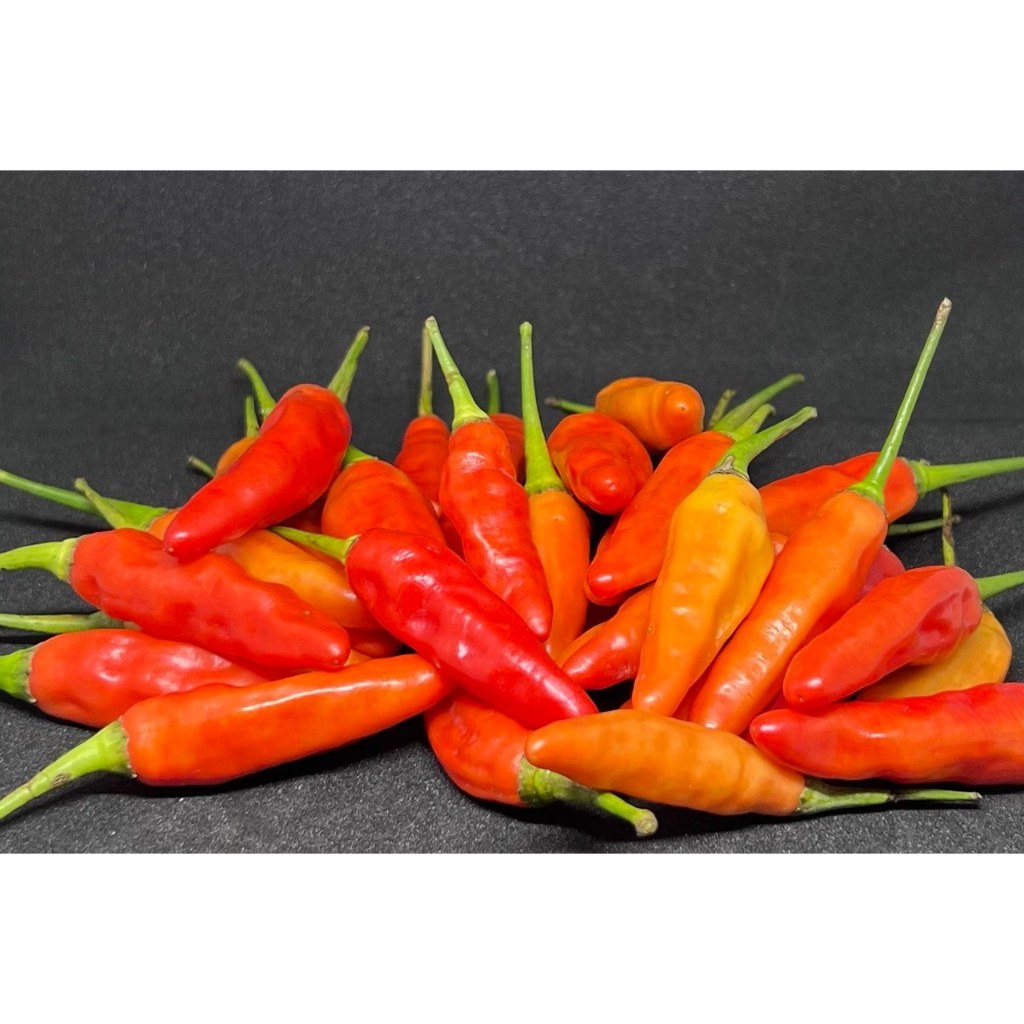 

CABAI RAWIT MERAH 1 kg