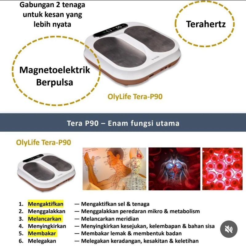 Olylife THZ TERA - P90