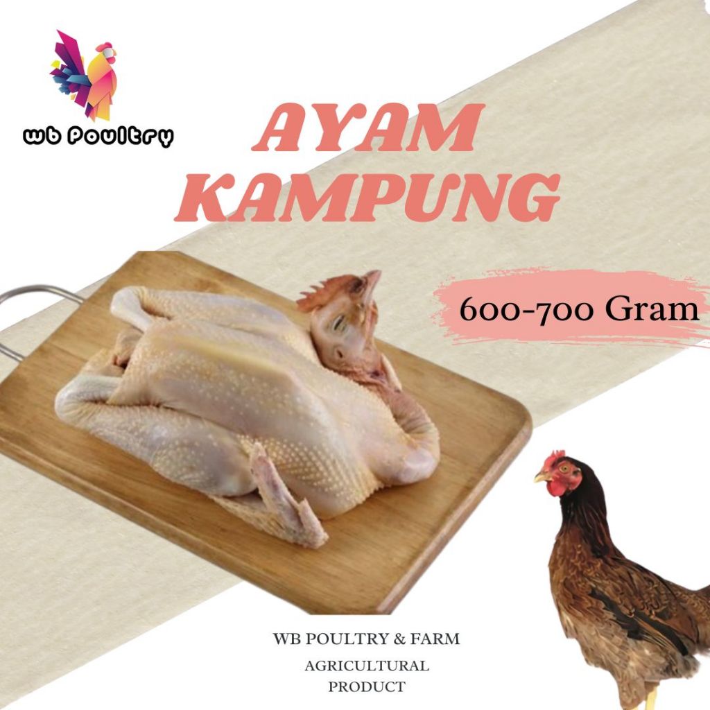 

Ayam Kampung Frozen 600-700 Gram