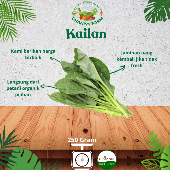 

Sayur Organik Kailan Organik 250 Gram