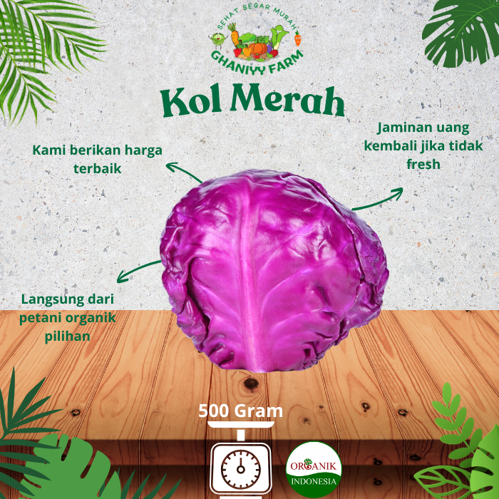 

Sayur Organik Kol Ungu Organik 500 Gram