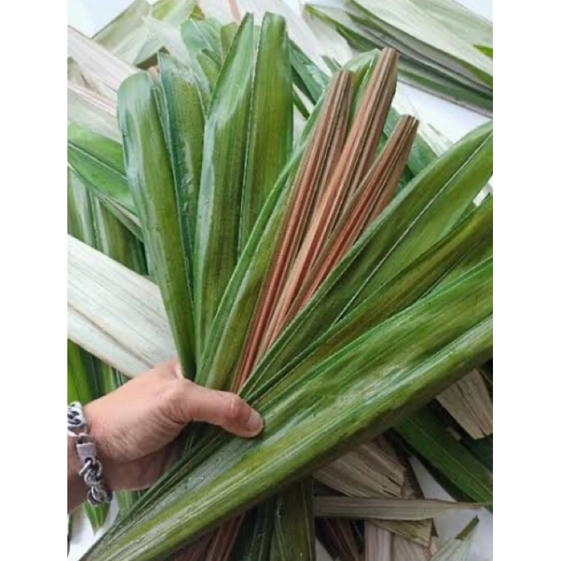 

Daun salak segar petik langsung 500 gram-az