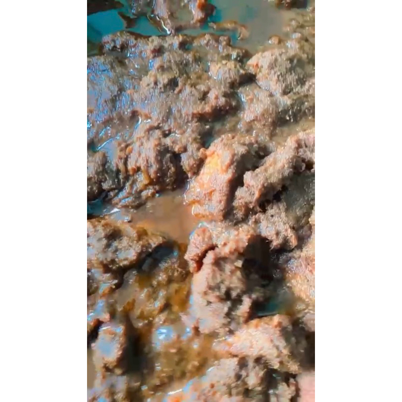 

Rendang Daging sapi 1/2 Kg