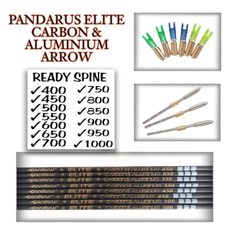 PANDARUS ELITE 1000 - PANDARUS ELITE CARBON DAN ALUMINIUM  - ELITE PANDARUS SPINE 1000 BELUM DIRAKIT