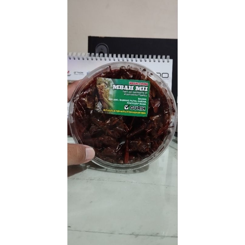 

Belalang Goreng Fresh