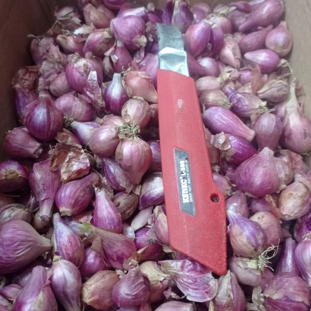 

Bawang merah 1 kg, bumbu aneka masakan