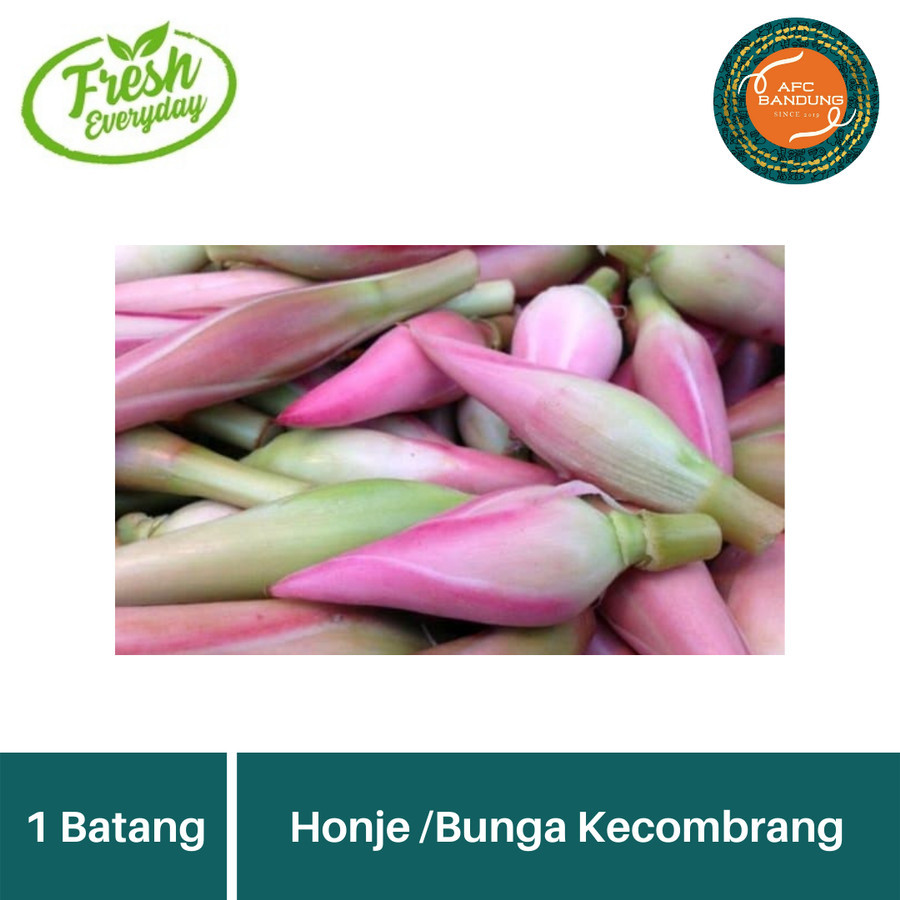 

Bunga Honje Sayur Kembang Kecombrang Rombeh per pcs