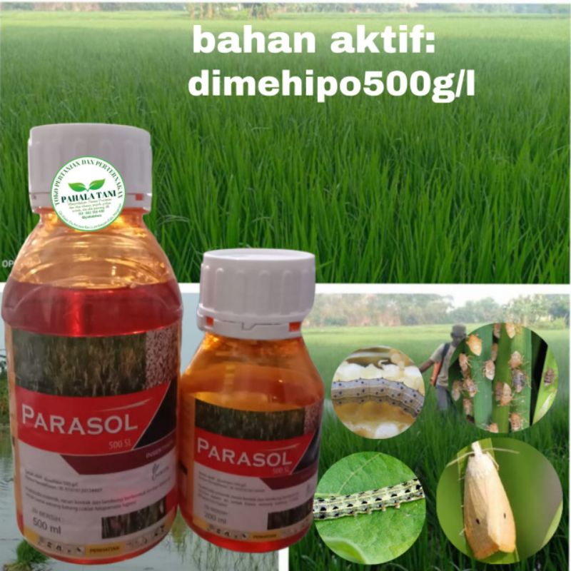PARASOL 500SL/dimehipo/insektisida/hama wereng/hama kaper/kutudaun/penggerek batang/penggerek polong