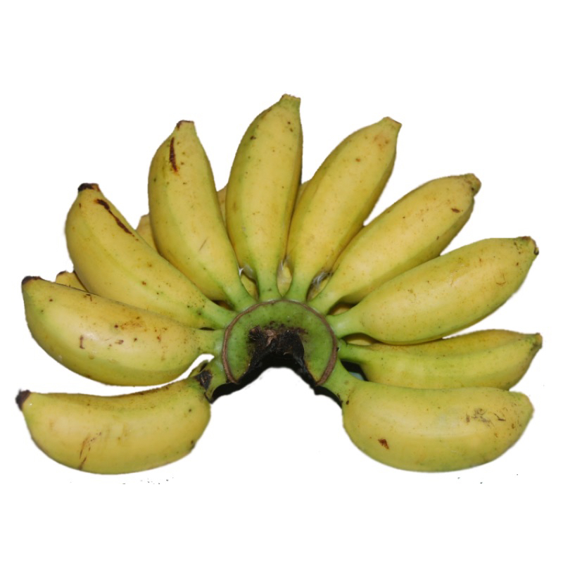 

Pisang Kecil /Pisang Unyil / Sayur ta Makassar