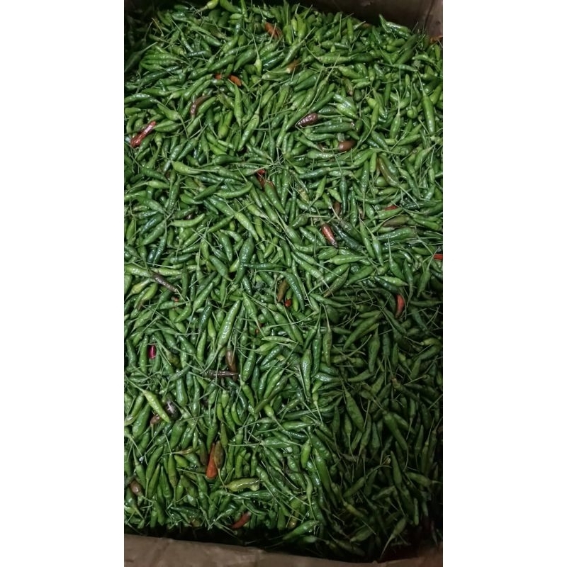 

Cabe Rawit Ijo 1kg