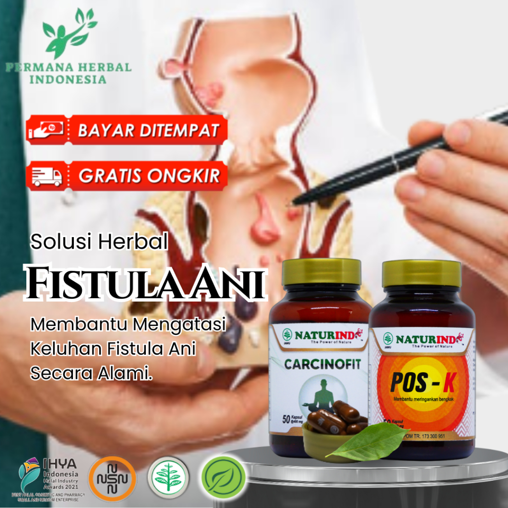 Obat Bisul Di Pantat Ampuh Fistula Ani Bernanah Perianal Abses Bisulan Anus Herbal Naturindo