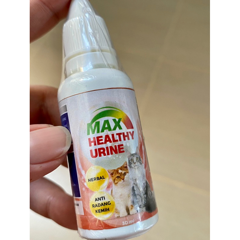 Obat Kucing Anti Radang Kemih | Obat kucing Susah Kencing