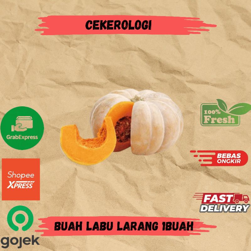 

Buah Labu Parang 1buah / Biah Labu Parang / Labu Parang / Buah Labu Parang Fresh Berkualitas / Buah Labu / JABODETABEK / Buah / Buah Buahan