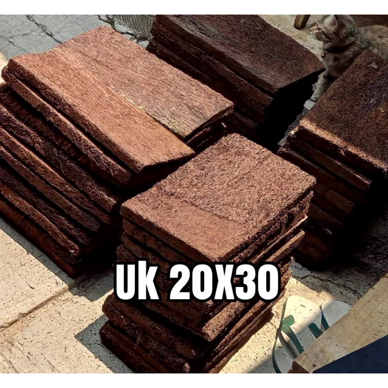Papan Pakis Besar uk 20x30 Media Tanam Anggrek