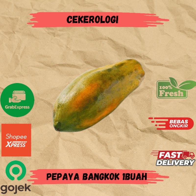 

Pepaya Bangkok 1buah / Pepaya Bangkok / Pepaya / Pepaya Bangkok Fresh Berkualitas / JABODETABEK / Buah Pepaya / Paya / Buah / Buah Buahan