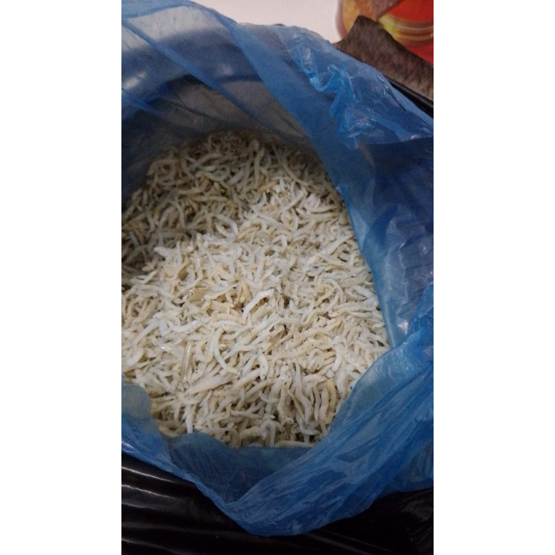 

Ikan Teri Sehat Fresh