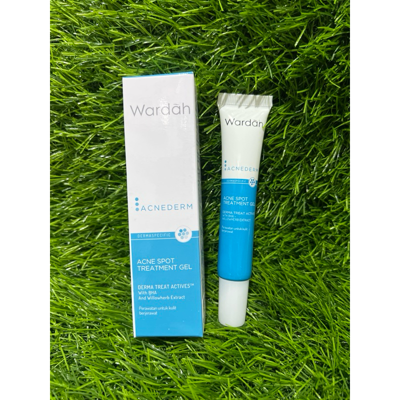 Wardah Acnederm Acne Spot Treatment Gel / acne spot treatment gel