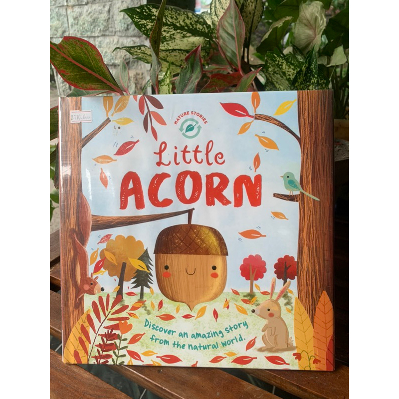 import book: little accorn hardcover