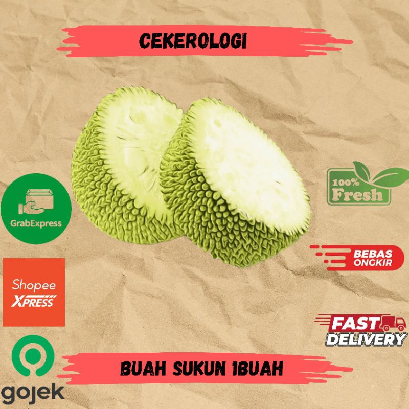 

Buah Sukun 1buah / Buah Sukun / Sukun / Buah Sukun Fresh Berkualitas / JABODETABEK / Buah / Buah Buahan
