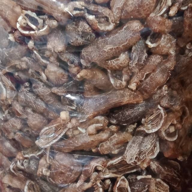 

Kerupuk Terung 250gr Tripang Keripik Teripang Renyah Snack Camilan Cemilan Viral