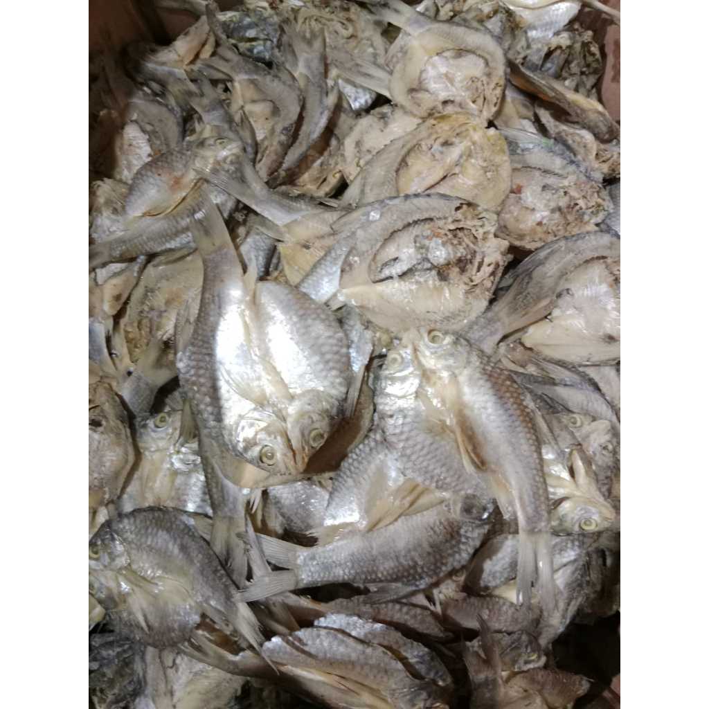 

Ikan Asin Bader 250gr-1kg Rasa Asin Yang Menggoda