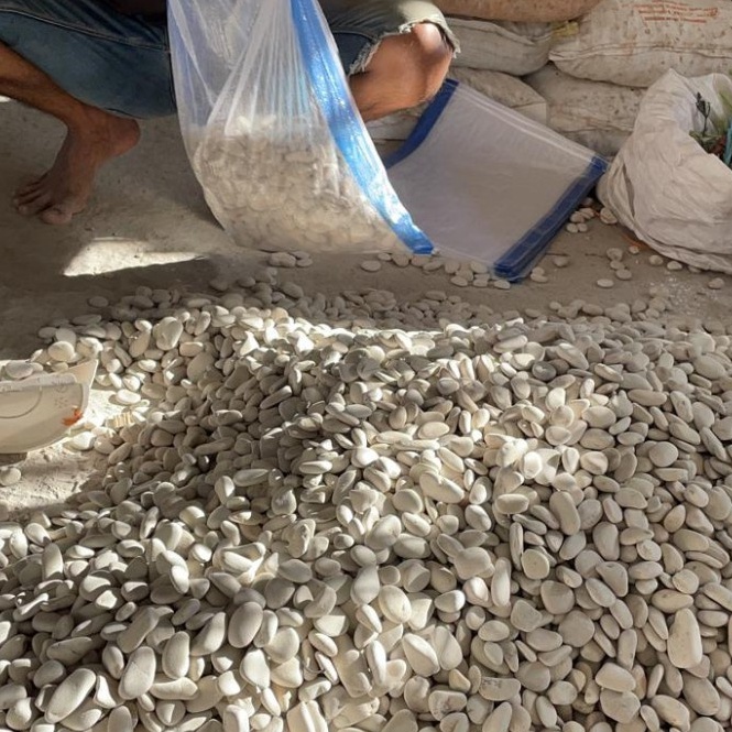 GBl Batu koral putih  coral hitam karungan 1 kg  S
