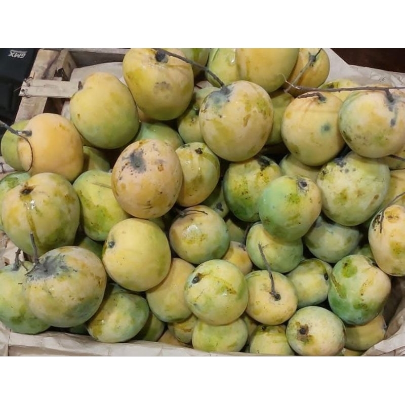 

Mangga Gedong 1kg